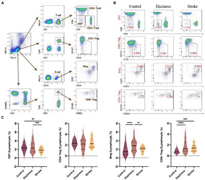 The value of circulating lymphocytic subpopulations in the diagnosis and repair of ischemic stroke patients with dizziness